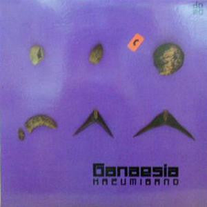 Kazumi Band - Ganaesia (Vinyl, LP, Promo) Very Good Plus (VG+) / Good Plus (G+)