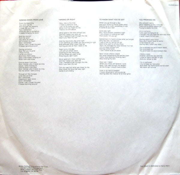Bobby Caldwell - Cat In The Hat (Vinyl, LP, Album)