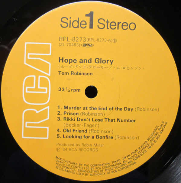 Tom Robinson - Hope And Glory (Vinyl, LP, Album)