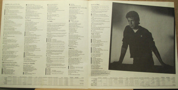 Tom Robinson - Hope And Glory (Vinyl, LP, Album)