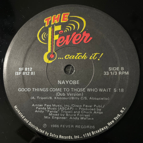 Nayobe - Good Things Come To Those Who Wait (Vinyl, 12", 33 ⅓ RPM) Very Good (VG) / Very Good (VG)
