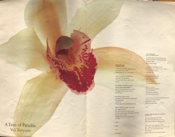 Yuji Toriyama - A Taste Of Paradise (Vinyl, LP, Album)