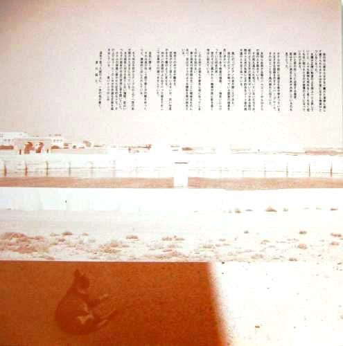 Toshifumi Hinata - Chat D'Ete (Vinyl, LP, Album) Very Good Plus (VG+) / Very Good Plus (VG+)