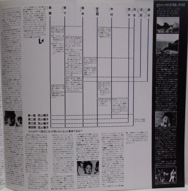 四人囃子 - Golden Picnics (Vinyl, LP, Album, Reissue, Stereo) Near Mint (NM or M-) / Very Good Plus (VG+)