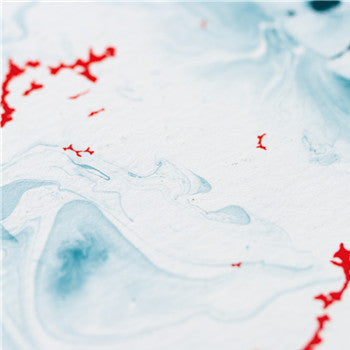 Primary Perception - Evidence Of A Primary Perception (2xVinyl, LP, Album) Mint (M) / Mint (M)