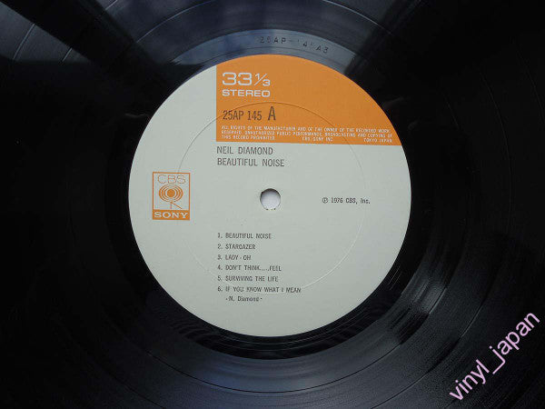 Neil Diamond - Beautiful Noise (Vinyl, LP, Album)