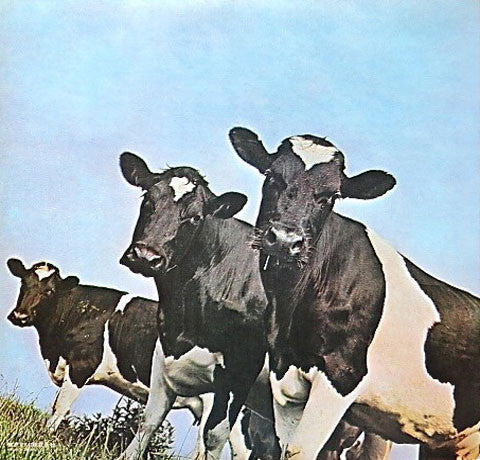 Pink Floyd - Atom Heart Mother = 原子心母 (Vinyl, LP, Album, Reissue, S...