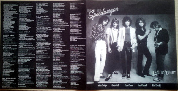 REO Speedwagon - Hi Infidelity (Vinyl, LP, Album, Stereo) Very Good Plus (VG+) / Very Good (VG)