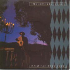 Immaculate Fools - Wish You Were Here (Vinyl, 12", 45 RPM, Maxi-Single) Very Good Plus (VG+) / Very Good (VG)