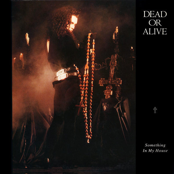 Dead Or Alive - Something In My House (Vinyl, 12", 45 RPM) Near Mint (NM or M-) / Very Good Plus (VG+)