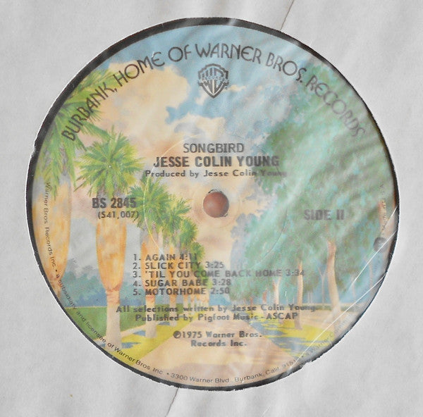 Jesse Colin Young - Songbird (Vinyl, LP, Album) Very Good Plus (VG+) / Good Plus (G+)