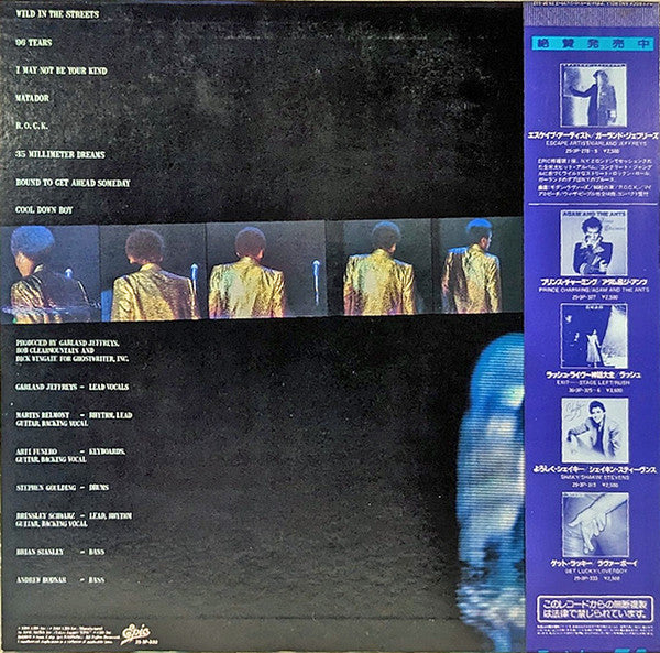Garland Jeffreys - Rock & Roll Adult (Vinyl, LP, Album, Stereo) Very Good Plus (VG+) / Good (G)