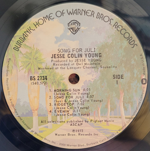 Jesse Colin Young - Song For Juli (Vinyl, LP, Album) Good Plus (G+) / Very Good (VG)