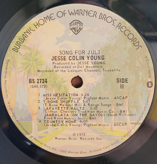 Jesse Colin Young - Song For Juli (Vinyl, LP, Album) Good Plus (G+) / Very Good (VG)
