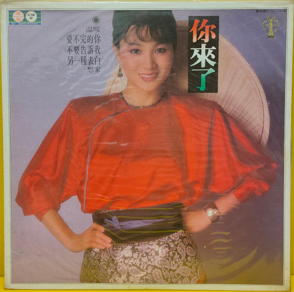Feng Fei Fei - 你來了 (Vinyl, LP, Album, Stereo) Good Plus (G+) / Very Good (VG)