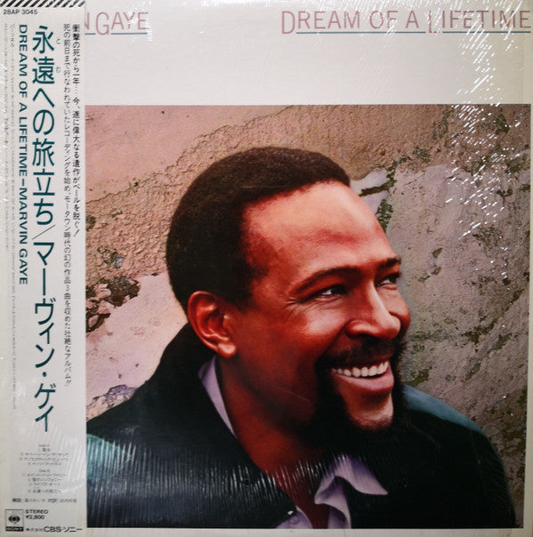 Marvin Gaye - Dream Of A Lifetime (Vinyl, LP, Album, Stereo)