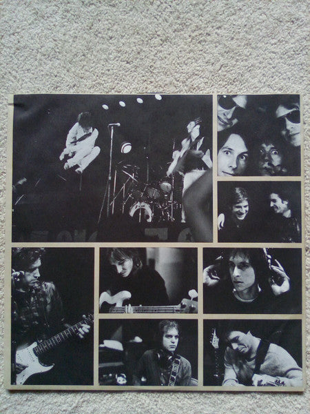 Willie Nile - Golden Down (Vinyl, LP, Album) Very Good Plus (VG+) / Very Good Plus (VG+)