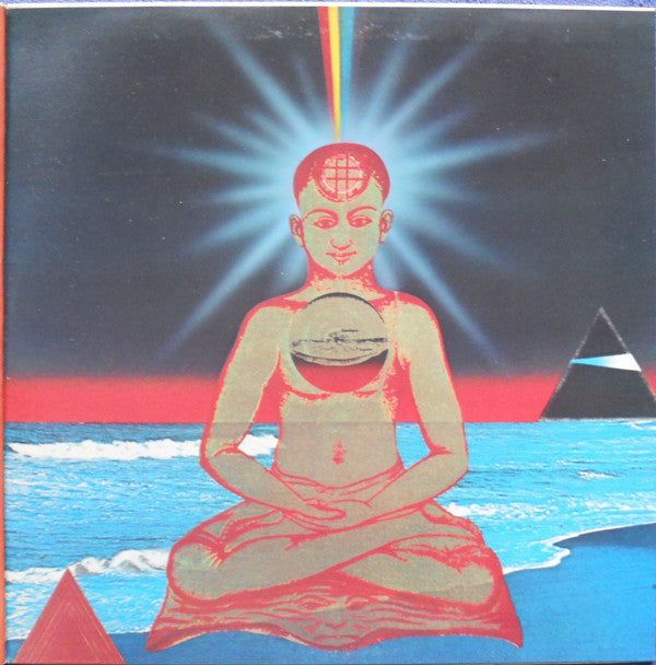 Carlos Santana - The Swing Of Delight (Vinyl, LP, Album, Stereo)