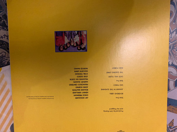 Jay Hoggard - Rain Forest (Vinyl, LP, Album) Very Good Plus (VG+) / Very Good Plus (VG+)