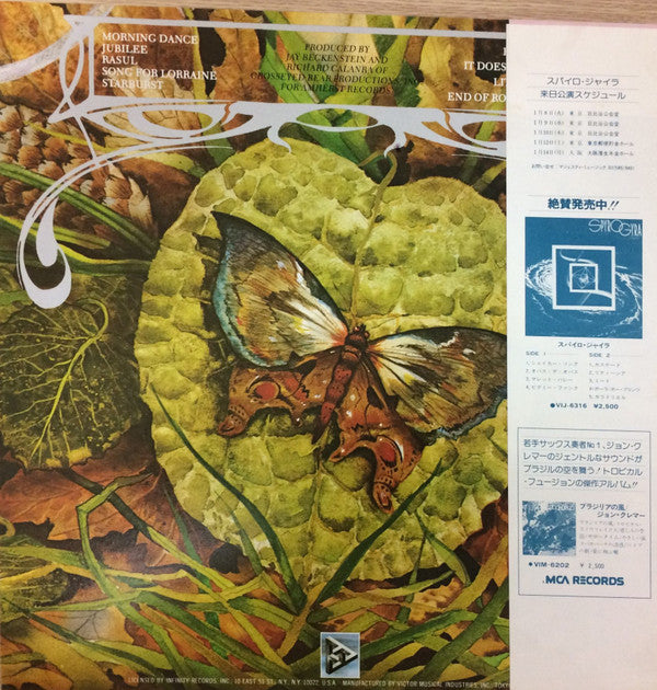 Spyro Gyra - Morning Dance (Vinyl, LP, Album)