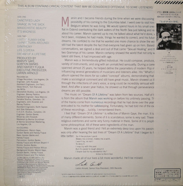 Marvin Gaye - Dream Of A Lifetime (Vinyl, LP, Album, Stereo)