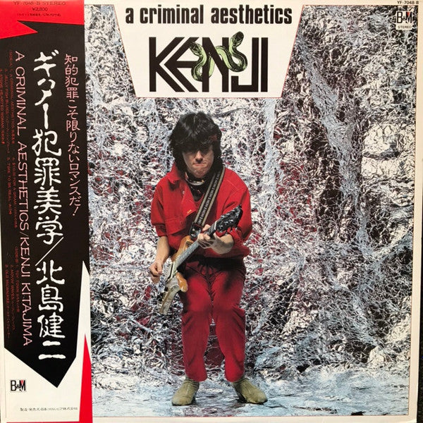 Kenji Kitajima - A Criminal Aesthetics (Vinyl, LP, Album) Very Good (VG) / Very Good Plus (VG+)