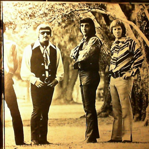 The Ventures - Golden Pops (Vinyl, LP, Album, Stereo) Very Good Plus (VG+) / Very Good (VG)