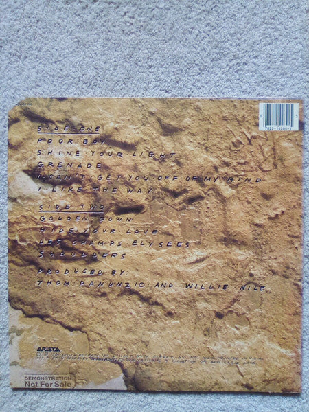 Willie Nile - Golden Down (Vinyl, LP, Album) Very Good Plus (VG+) / Very Good Plus (VG+)