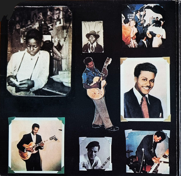 Chuck Berry - Bio (Vinyl, LP, Album) Very Good (VG) / Fair (F)