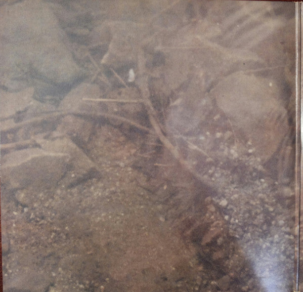 Bruce Cockburn - Circles In The Stream (2xVinyl, LP, Album, Stereo) Good Plus (G+) / Good (G)