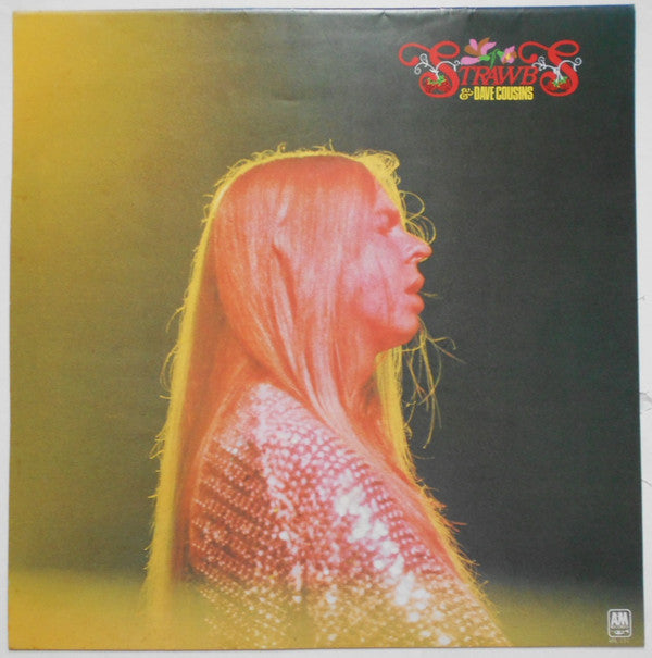 Strawbs - Strawbs & Dave Cousins (Vinyl, LP, Compilation) Very Good Plus (VG+) / Very Good Plus (VG+)