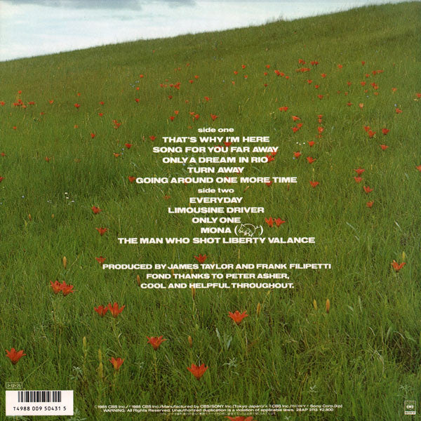 James Taylor (2) - That's Why I'm Here (Vinyl, LP, Album) Very Good Plus (VG+) / Very Good (VG)