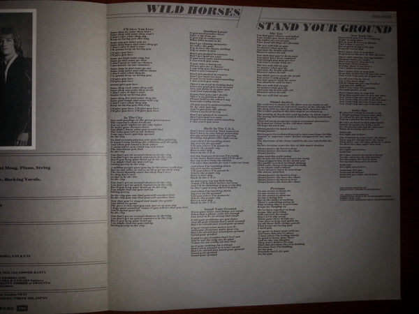 Wild Horses - Stand Your Ground (Vinyl, LP, Album) Near Mint (NM or M-) / Very Good Plus (VG+)