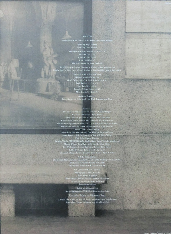 Koji Tamaki - All I Do (Vinyl, LP, Album, Stereo)