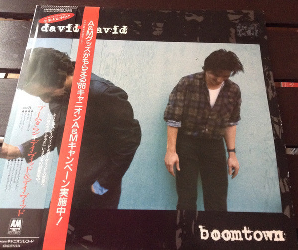 David + David - Boomtown (Vinyl, LP, Album) Very Good Plus (VG+) / Very Good Plus (VG+)