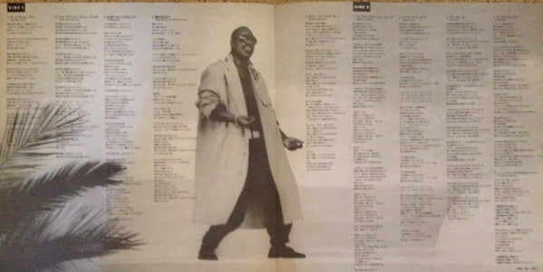Stevie Wonder - In Square Circle (Vinyl, LP, Album, Promo)