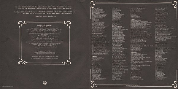Rod Stewart - A Night On The Town (Vinyl, LP, Album)