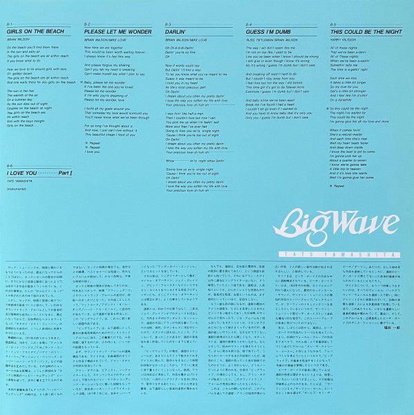 Tatsuro Yamashita - Big Wave (Vinyl, LP, Album, Stereo) Very Good Plus (VG+) / Very Good (VG)