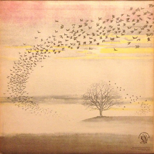 Genesis - Wind & Wuthering (Vinyl, LP, Album, Repress, Stereo) Very Good Plus (VG+) / Very Good (VG)