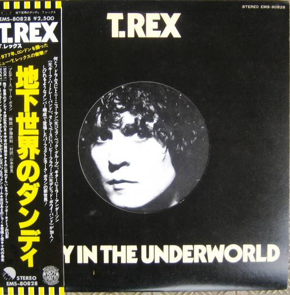 T. Rex - Dandy In The Underworld (Vinyl, LP, Album) Very Good Plus (VG+) / Very Good Plus (VG+)