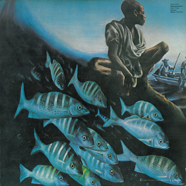 Herbie Hancock - Crossings (Vinyl, LP, Album) Very Good Plus (VG+) / Near Mint (NM or M-)