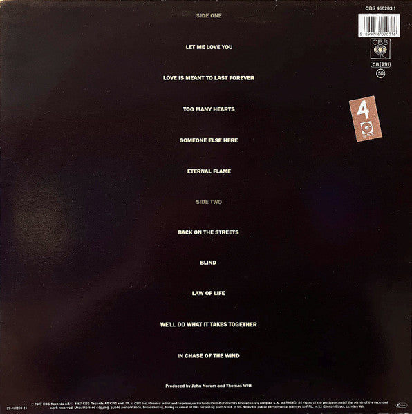 John Norum - Total Control (Vinyl, LP, Album, Stereo)