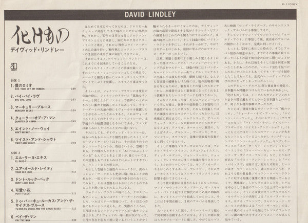 David Lindley - 化けもの (Vinyl, LP, Album) Very Good (VG) / Very Good Plus (VG+)
