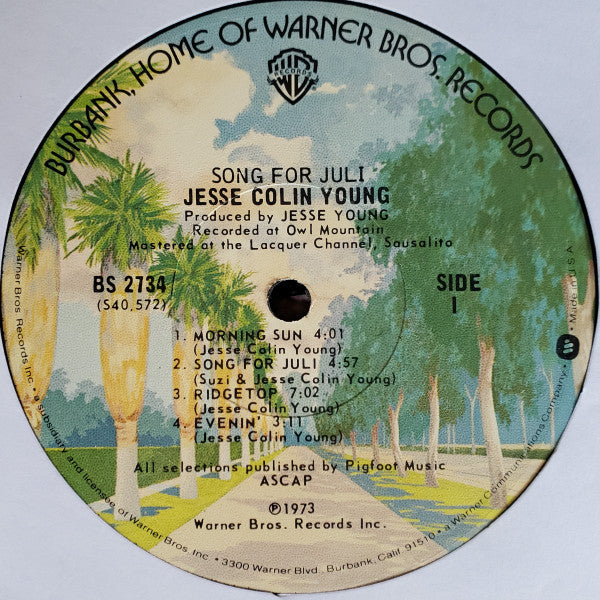 Jesse Colin Young - Song For Juli (Vinyl, LP, Album) Good Plus (G+) / Poor (P)