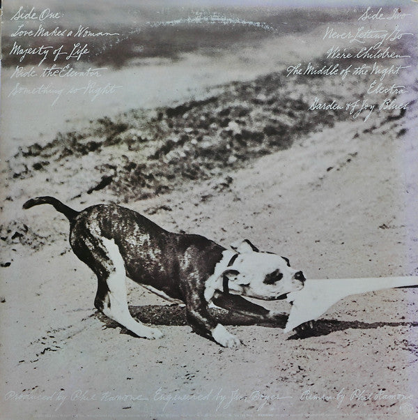 Phoebe Snow - Never Letting Go (Vinyl, LP, Album, Stereo) Very Good Plus (VG+) / Very Good Plus (VG+)