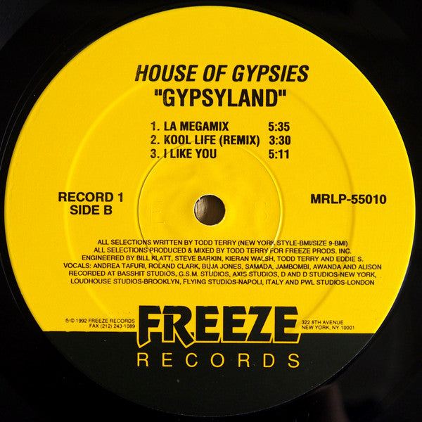House Of Gypsies - Gypsyland (2xVinyl, LP) Good Plus (G+) / Good Plus (G+)