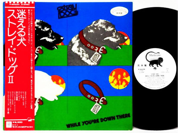 Stray Dog (3) - While You're Down There (Vinyl, LP, Album, Promo) Very Good (VG) / Very Good (VG)
