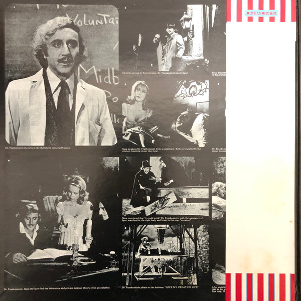 John Morris - Dialogue & Music From Original Soundtrack Of "Young Frankenstein" (Vinyl, LP, Album) Near Mint (NM or M-) / Very Good (VG)