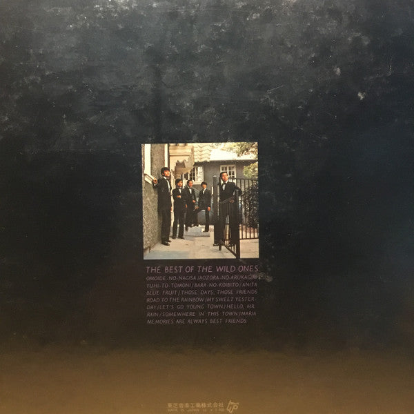 The Wild Ones (2) - The Best Of The Wild Ones (Vinyl, LP, Compilation, Stereo) Very Good Plus (VG+) / Very Good (VG)