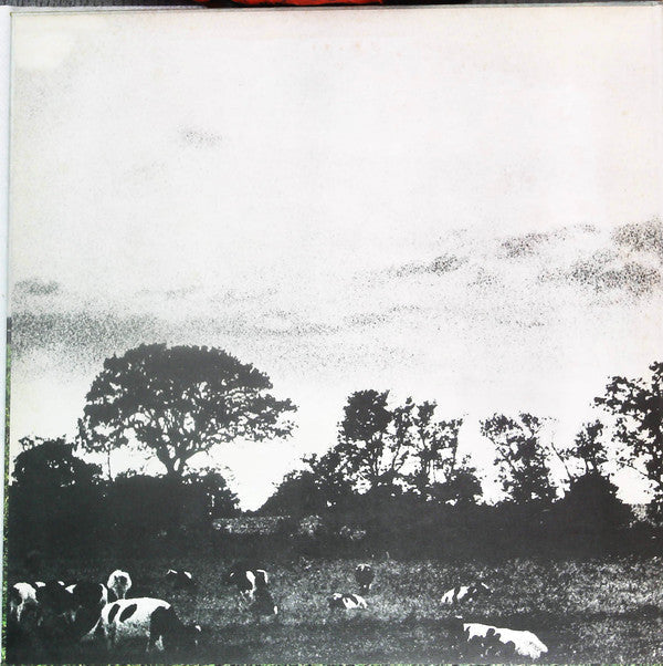 Pink Floyd - Atom Heart Mother = 原子心母 (Vinyl, LP, Album, Reissue) Near Mint (NM or M-) / Near Mint (NM or M-)